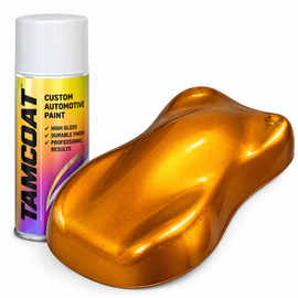 Caliper Paint Kits