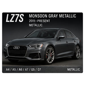 Monsoon Gray Metallic